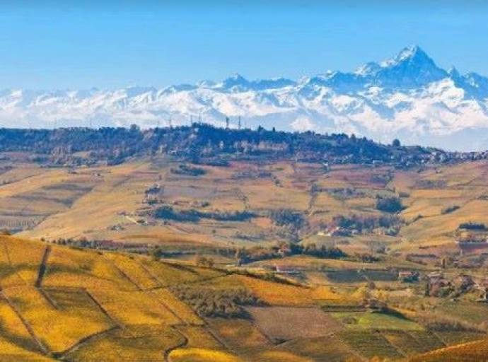 Master Executive in Management dell’Impresa Agraria Sostenibile. L'inedita collaborazione tra Coldiretti e Università