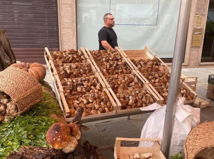 Settembre a Cirié: sport, tradizione e cultura per celebrare i 120 anni della città con un mese di eventi da vivere insieme